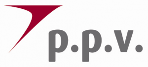 PPV Consulting logo